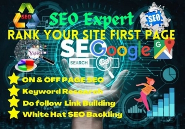 Rank your Website Google 1st Page with On Page and Off Page SEO