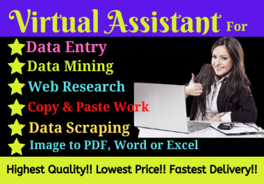 Virtual Assistant for Data Entry,  Scraping,  Mining and copy paste work