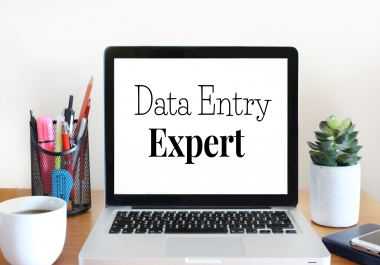 I will do data entry,  copy-paste,  web research Microsoft and excel data entry.