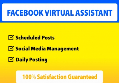 I will be your Facebook Virtual Assistant