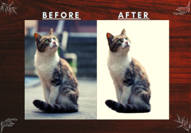 I will remove the background of pictures.