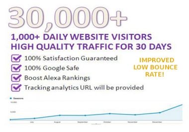Daily Real Visitors For Your Website