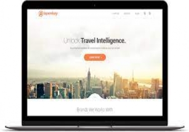 I am a professional website designer.