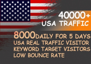 Drive usa keyword target daily website traffic visitors