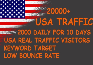 20000 usa website traffic visitors for 10 days