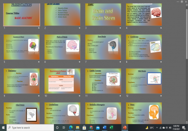 Infographics for presentation for educational or business purposes on your demand.