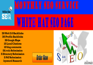 White Hat SEO Package For Rank Your Website On First Page On Google