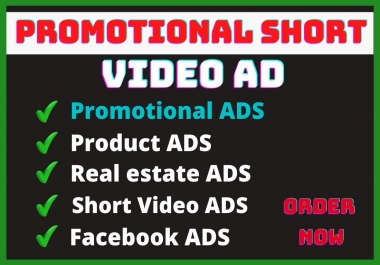 I will create promotional video ad for your business