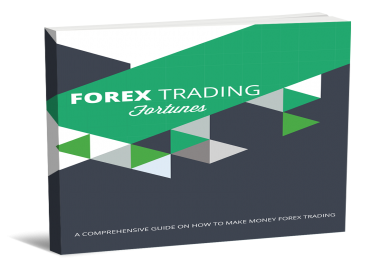 A Comprehensive Guide on how to make money forex trading platform.