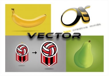 Vector Graphics & Logo Creations