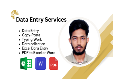 I will do expert data entry,  copy paste,  and PDF to excel conversion
