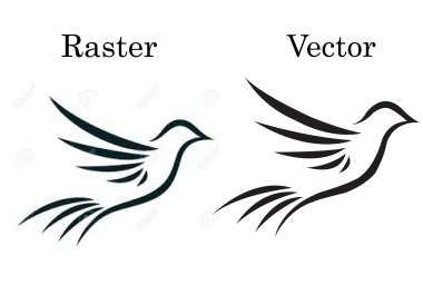 I will do professional vector tracing for raster images and logo