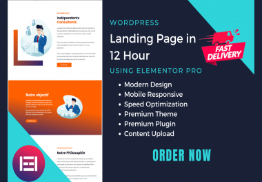 I will design wordpress website or landing page with elementor