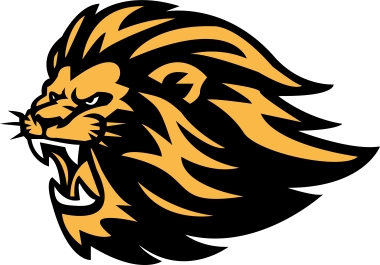 I will design unique custom logo for you and your company