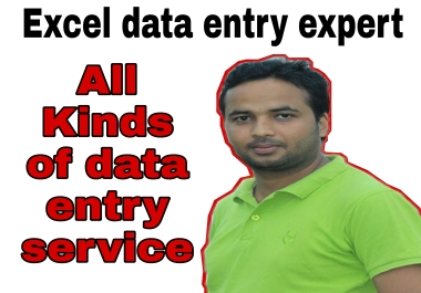 I will provide all kinds of excel data entry service