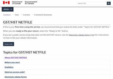 will Prepare and File Canadian Tax