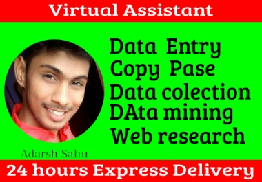 I will do data entry and copy paste work and be your virtual assistant