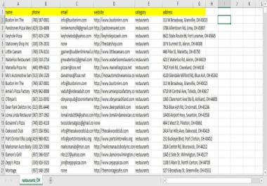 I will do all data scraping of yellow pages,  business directory