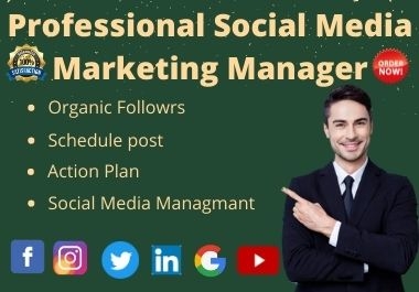 I will be your social media marketing manager and organic traffic