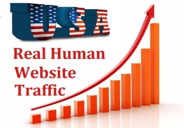 I will Provide you 10,000 Real USA Human Website Traffic