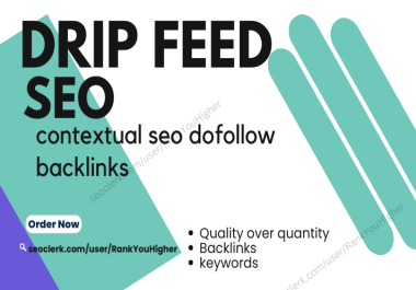 I Will Provide Drip Feed Contextual SEO Dofollow Backlinks