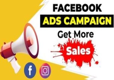 I will do manage Facebook Ads campaign/ Other site Advertising setup and run