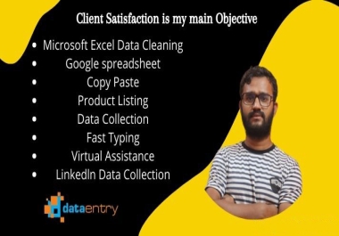 I will do expert fast excel data entry,  data mining, typing,  data scraping,  copy paste,  excel work
