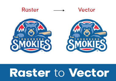 I will do vector tracing,  redraw or convert image to vector manually