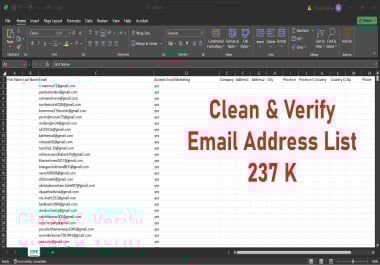 I will Provide you 237k+ Verified Email List Database for Email Marketing