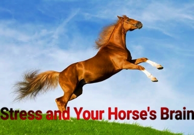 You have more than 1000 exclusive words about the horses and all animals