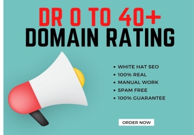 I will Increase Domain Rating upto 40 plus in Ahrefs