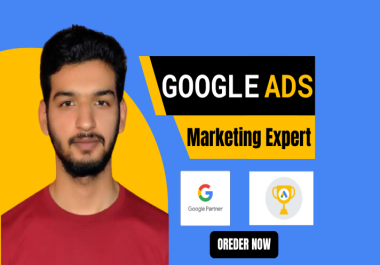 I will manage your google shopping ads campaign and setup