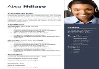 I will create a professional CV FOR YOU
