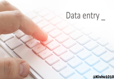 I will do Data Entry for you with quality and 100 accuracy guaranteed.