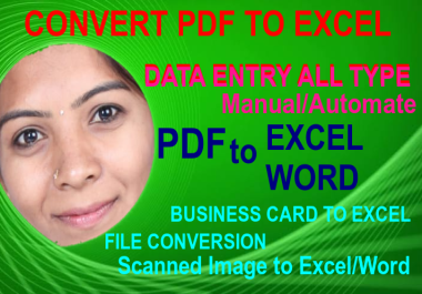 I will convert PDF to excel instantly