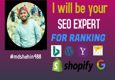 I will be your seo expert with 100 white hat service