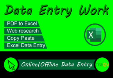 I will do data entry and form filling typing work in excel spreadsheet at low price