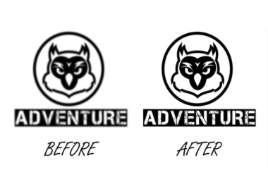 I Will Convert to Vector,  Vector Trace or Redraw Logo and Icon into Vector