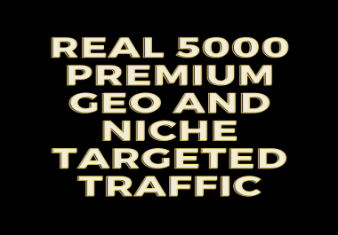 Real 5000 GEO and Niche Targeted Traffic