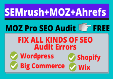 I will do on page SEO audit service report with action plan