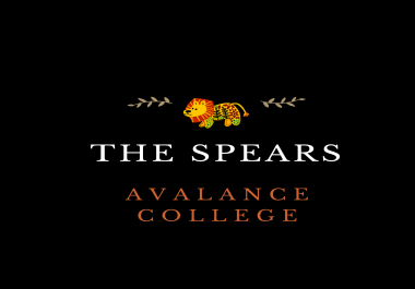 Design a professional and high quality logo in a short time less than two days