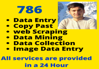 accurately data entry,  web scraping,  research,  data collection,  mining