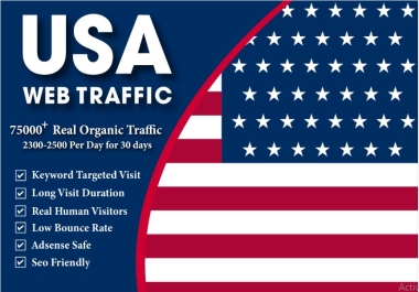 Drive real organic USA web traffic within 30 days