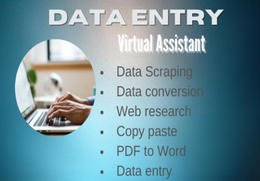 I will do data entry,  E-commerce Products Listing,  copy paste,  typing work etc. for 10