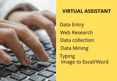 fast data entry and web research job