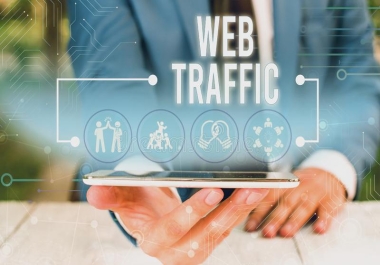 UNLIMITED REAL HUMAN WEB TRAFFIC FOR 8 MONTHS