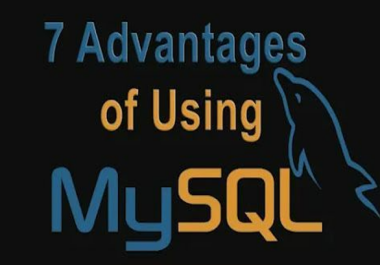 Using MySQL for Your Business