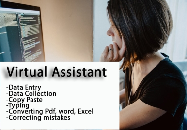 I will do data entry,  copy paste,  web research,  converting pdf,  word files.
