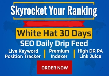 I will create 30 Backlinks daliy drip feed SEO Blog Comments Backlinks SEO Link Building Ranking