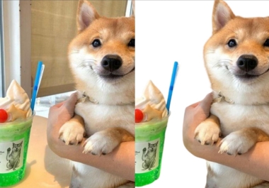 Our company can delete or change the background of your photos in 30 minutes